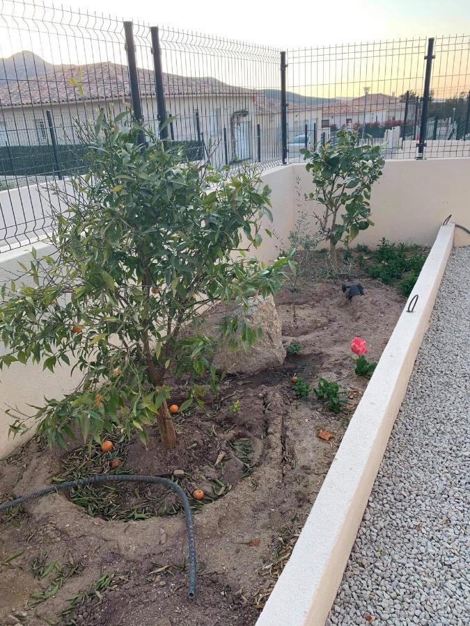 Entre Mer&Montagne Suite Calvi 卡伦扎纳 外观 照片